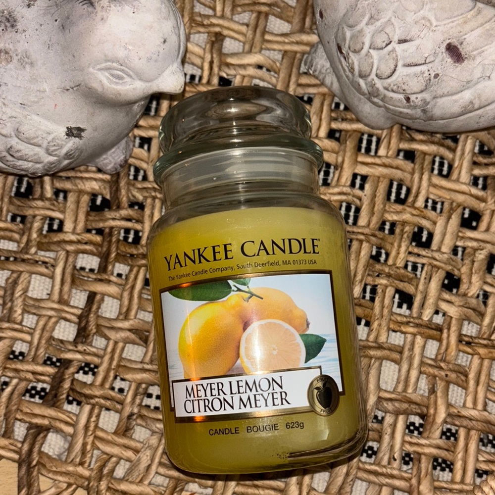 Yankee Candle Meyer Lemon Scented Candle Discontinued NEW